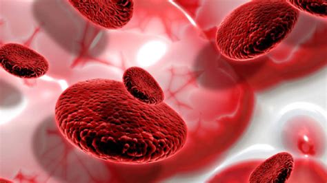 Blood cancer: Why leukaemia, lymphoma and myeloma often go unnoticed