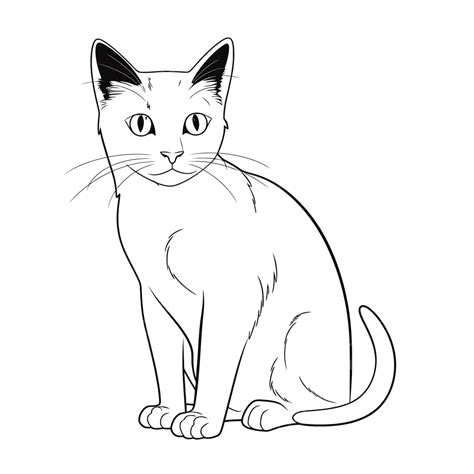 Cat Sitting Drawing
