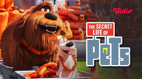 Sinopsis Film The Secret Life of Pets, Kehidupan Hewan Peliharaan yang ...