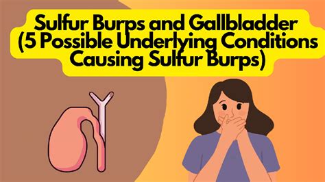 Sulfur Burps and Gallbladder [Remedies, Treatment, and Causes ...