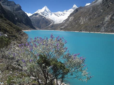 HUARAZ TREKS AND CLIMBS - All You Need to Know BEFORE You Go 2026 (with ...