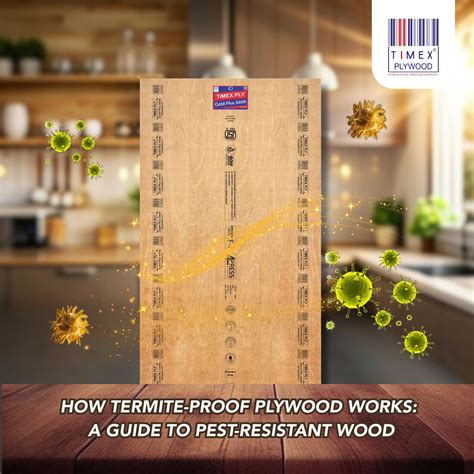 How Termite-Proof Plywood Works: A Guide To Pest-Resistant Wood - Timex ...