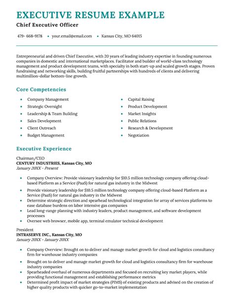 Executive Summary Resume Sample