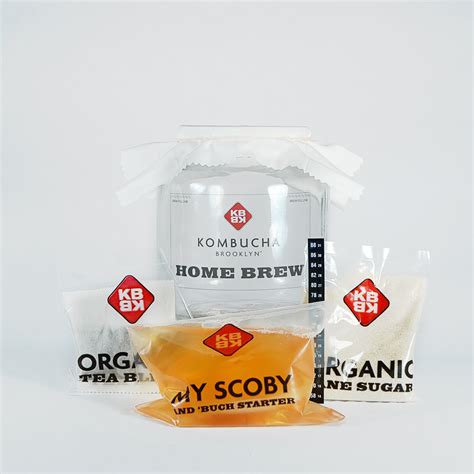 Basic Kombucha Home Brew Kit - Kombucha Brooklyn - Touch of Modern