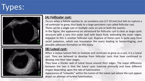 Cystic ovarian degeneration Dr. Najmu Saaqib Reegoo DVM | PDF