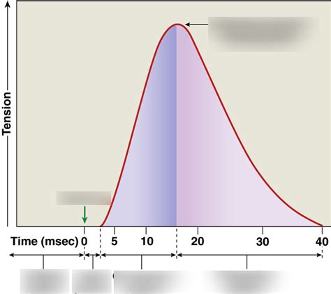 Image result for Design Your Own Tension Graph