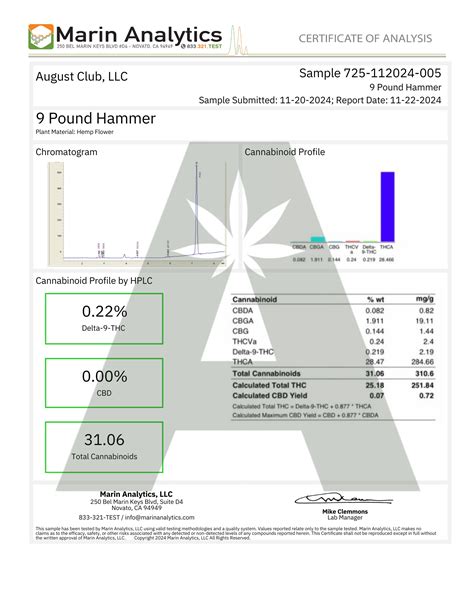 9LB Hammer | August Cannabis Club – AUGUST CLUB