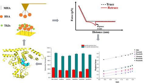 Investigating the Effect of Tyrosine Kinase Inhibitors on the ...