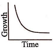 Which one is the correct graph for arithmetic growth