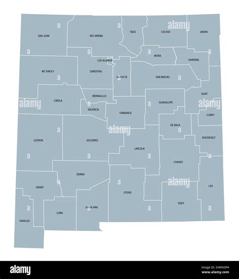 New Mexico counties, gray political map with borders and county names ...