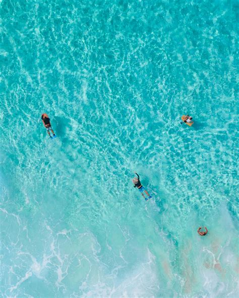 Swimming in Sea 的图像结果