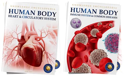 Buy Human Body - Heart And Circulatory System & Human Body - Immune ...
