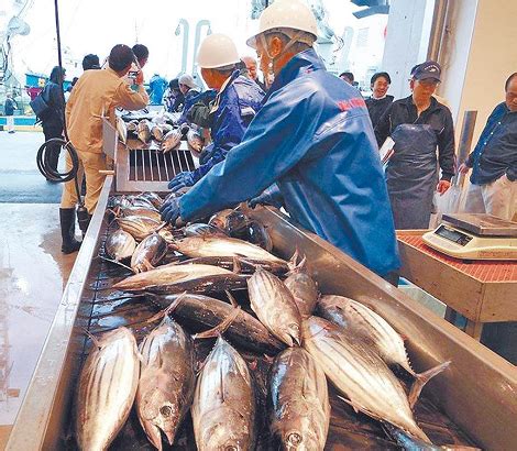 食品安全四个最严,展示设计,模型设计/效果图,设计模板,汇图网www.huitu.com