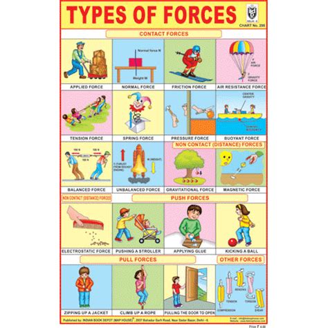 TYPES OF FORCES CHART SIZE 12X18 (INCHS) 300GSM ARTCARD