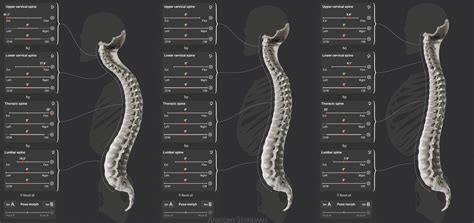 Normal Neck Range Of Motion
