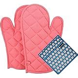 IFB 20 L Convection Microwave Oven (20SC2, Metallic Silver): Amazon.in ...