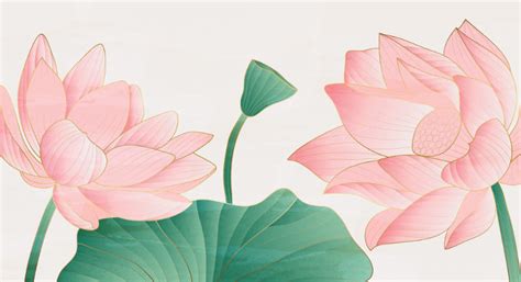 Lotus Wallpaper - National Flower of India | Giffywalls