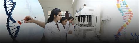 School of Life Science & Technology - Best Biotechnology & Life Science ...
