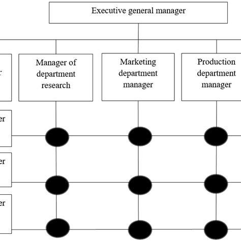 Image result for Project Matrix Structure
