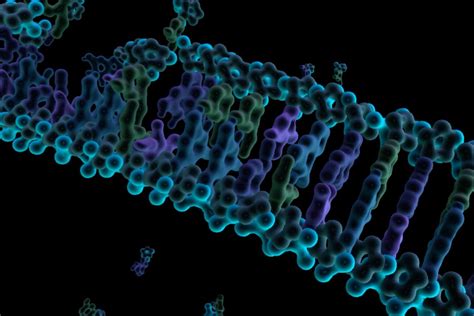 Image result for Intelligent Design Evidence