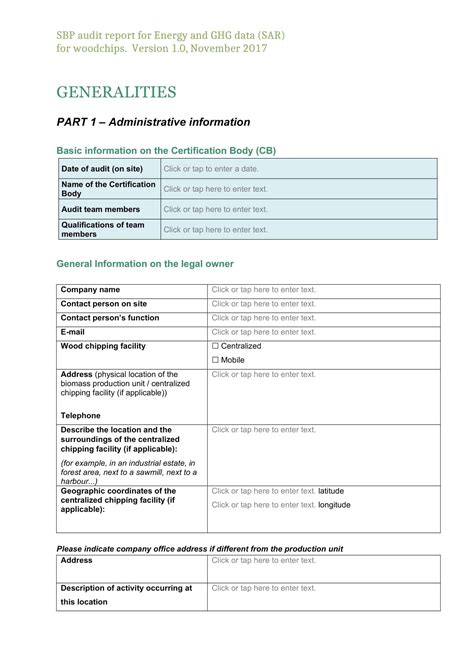 Audit Report Example 的图像结果
