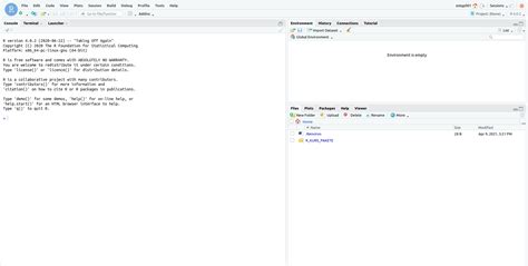 R Studio 的图像结果
