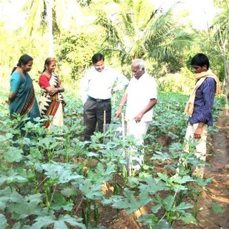 Ongoing Research and development activities of WCSC R&D