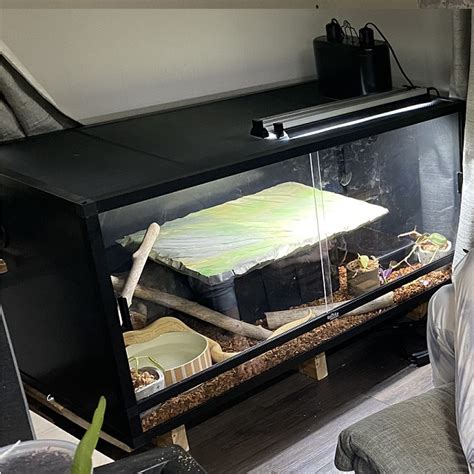 Image result for Pide Ball Python Enclosure