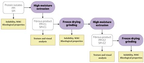 Rework Potential of Soy and Pea Protein Isolates in High-Moisture Extrusion