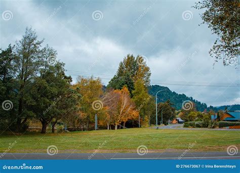 Colores Brillantes De Otoño En El Parque De La Ciudad De Ohakune, a Los ...