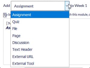 Image result for Canvas Course Modules