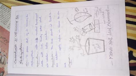 explain about molls half leaf experiment ? - Brainly.in