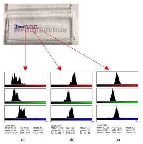 PDMS Microfabrication and Design for Microfluidics and Sustainable ...