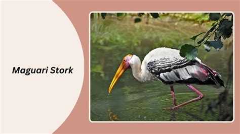 Image result for AUTOSAR Stack Development Functional Testing Images