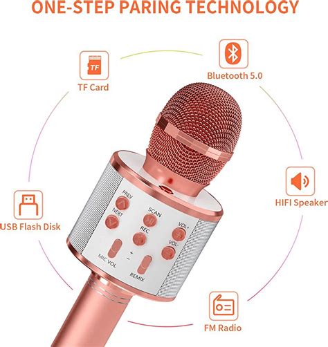 Image result for Wireless Handheld Microphone