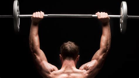 Basic Weight Training 的图像结果