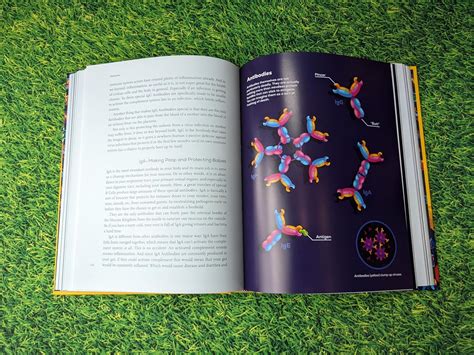 Immune: A beautifully illustrated exploration of the India | Ubuy