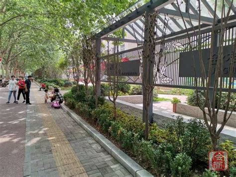 郑州在线-新闻-【发现郑州之变·绿化】街道“见缝插绿” 城市更有活力