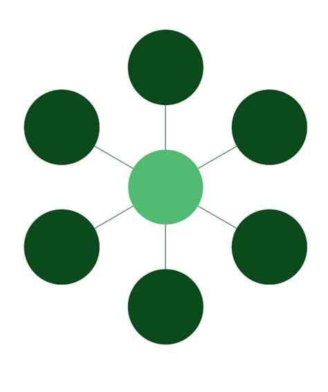 Network 的图像结果