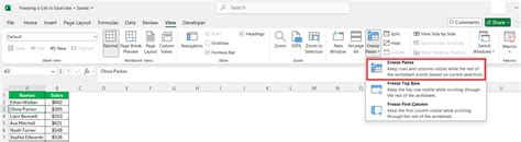 Image result for Excel Cell Freezing Tutorial