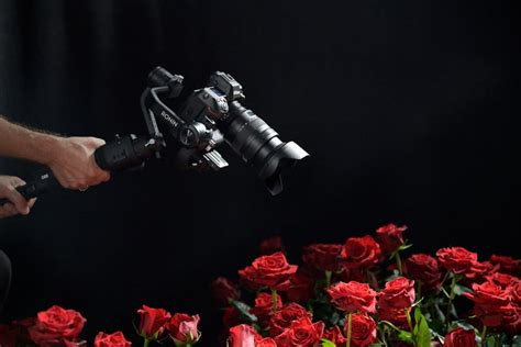 Nikon Z 9 - The Professional's Edge for Mastering Visual Narratives ...