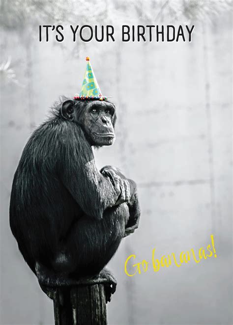 Image result for Code Monkey 6