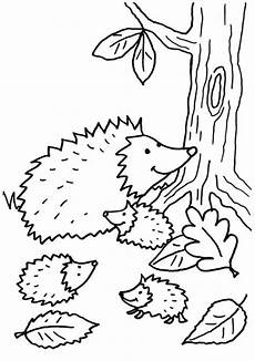 ausmalbilder mandalas igel kostenlose malvorlage igel igelfamilie zum ausmalen ausmalbilder mandalas igel kostenlose malvorlage igel igelfamilie zum ausmalen