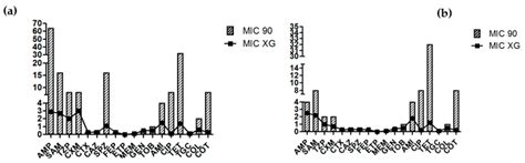 Antibiotic Resistant and Biofilm-Associated Escherichia coli Isolates ...