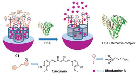 Fluorogenic Detection of Human Serum Albumin Using Curcumin-Capped ...