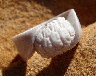 Image result for Turtle Shell Ring