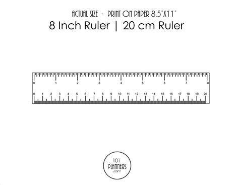6 Inches Ruler - Worksheets Library