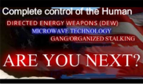 Targeted Individual Program 的图像结果