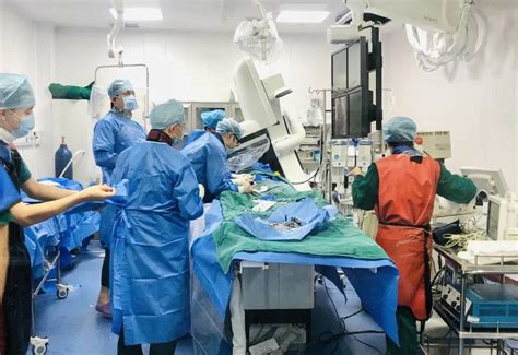 重庆市急救医疗中心/重庆大学附属中心医院成功开展TAVR手术一例 -- 严道医声网