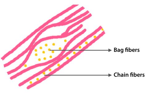 Spindle Shape 的图像结果
